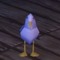 Dum ahh pigeon