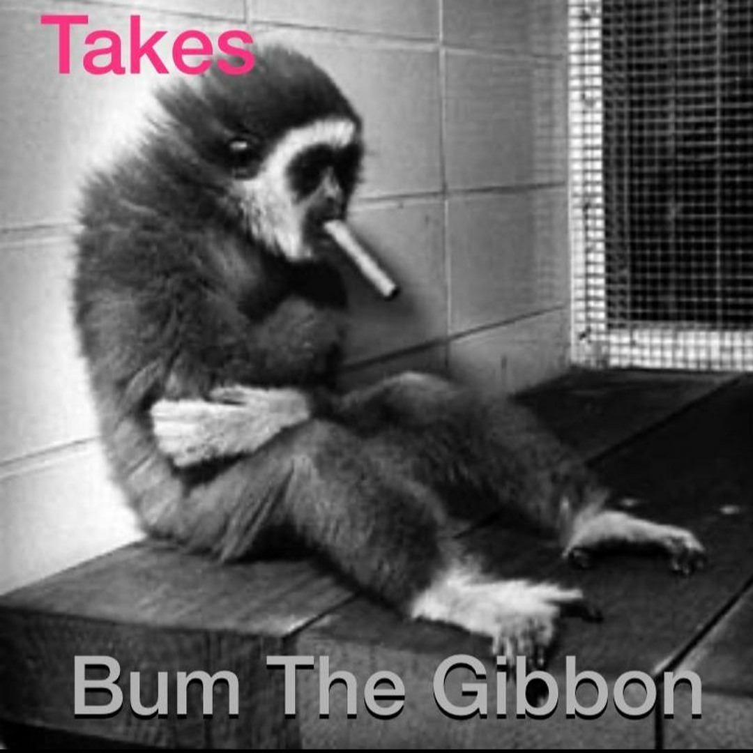 songs about smoking cigarettes Songs about smoking : r/MusicRecommendations