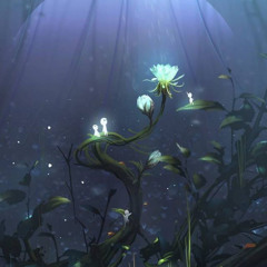 Unknown entity