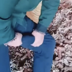 ぷりん
