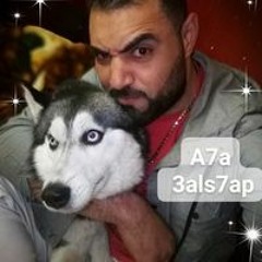 ابراهيم القرضاوي