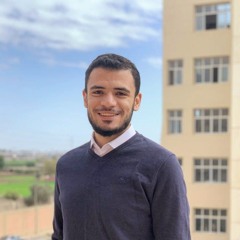 محمد عبد المنعم