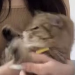 鮮魚包