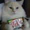 KitKat