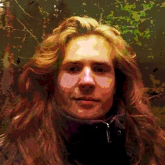 Vegard Skjerdingstad