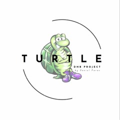 TURTLE dnb project