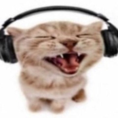 sohfiii