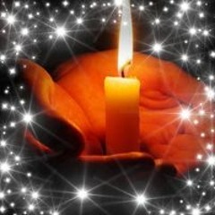 Палачь Игорь