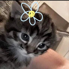 hanini ?? (⁠・⁠–⁠・⁠;⁠)⁠ゞ