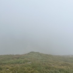 ikagimeraki