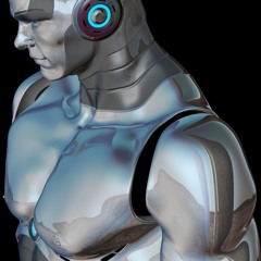 ROBOTICANLAND