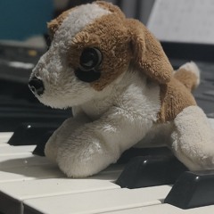 Felipe "Octavio" -  SpiritualMango
