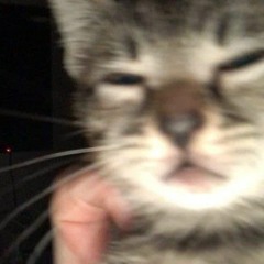 신 같네 (God-ish 한국어) _ 휴복