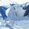 neva -