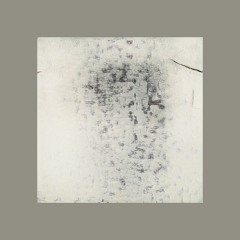 Accipioformica-tifletshig