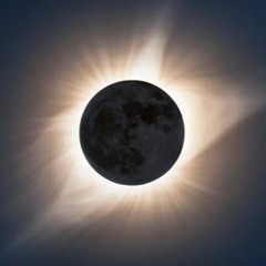 The Real Master Laxer