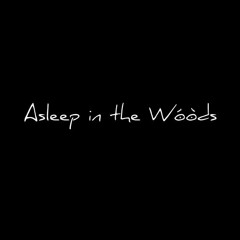 Asleep in the Woods