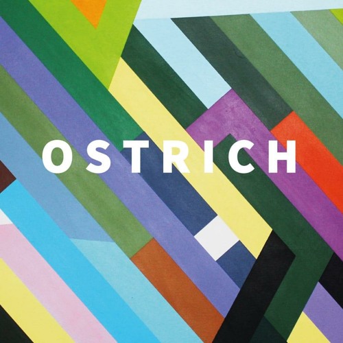Ostrich’s avatar