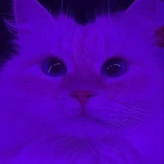 ꧁༺ 𝖅𝖔𝖓𝖔𝖈𝖍𝖐𝖆 ༻꧂