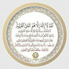 Abir Elsadany