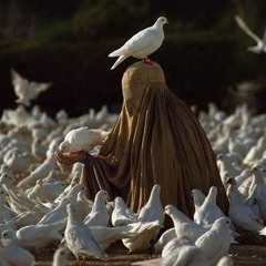 مَريم مُحمد