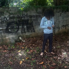 vvs