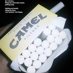 Dust Casing