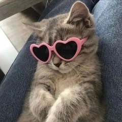 Biboi :3