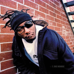 ol’ dirty bastard