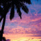 Travelina Ngatokoa Viti
