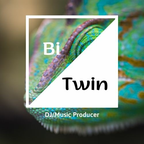 BiTwin’s avatar