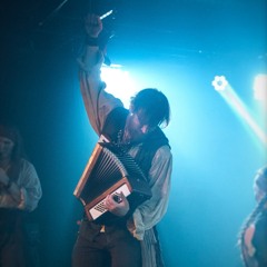 Robin Rävs musiksamling