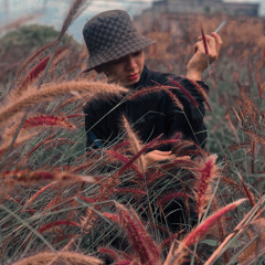 Đạt Bii