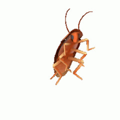 RoachMakesMusic