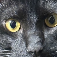 Yvng boi P Type Beat – “VOID”