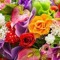 Abrar Mohamed