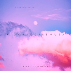 RICOX100PREMUSA