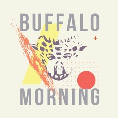 Buffalo Morning