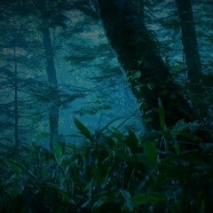 Brave Fencer Musashi 2  -Aeolic Guadian- Copy