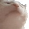 Pascal420