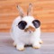 bunny lover