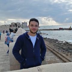 Amr Alsakka