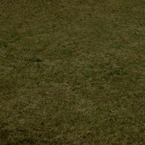 HE DIED PT.2 (DIGITALANGELS X GSPAX)