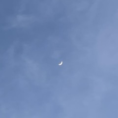 مريم العمري