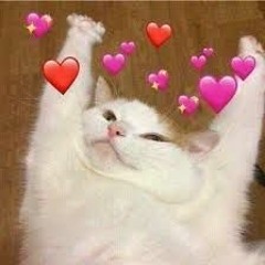 User 396590248