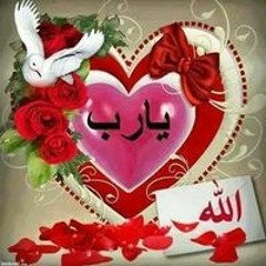 Aml Sayed