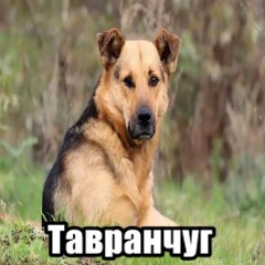 свагамэн