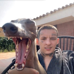 .z