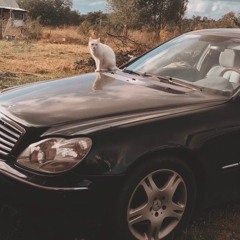 JotaEme_9