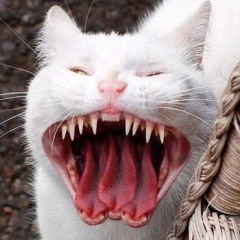 SCP-1471